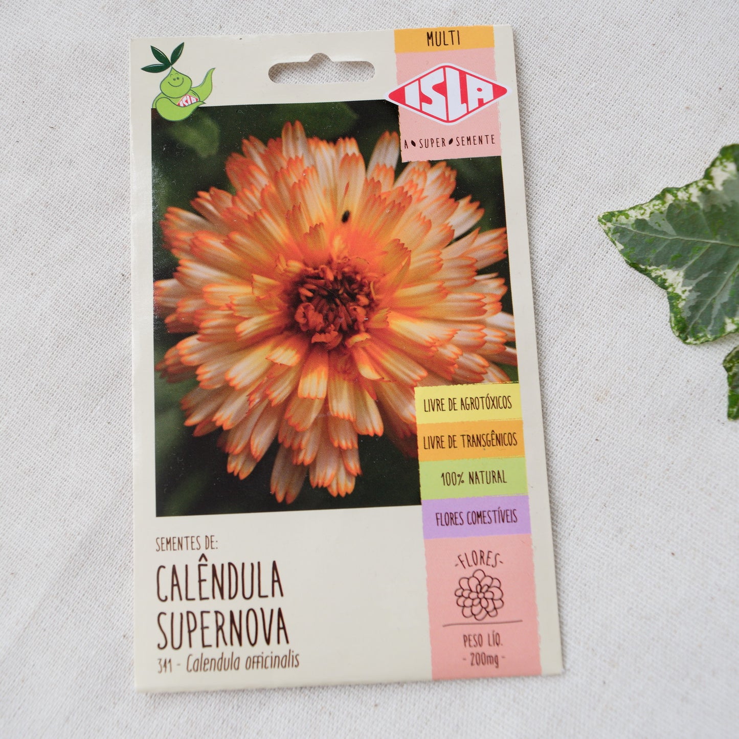 Sementes de Calêndula supernova ~ Calendula officinalis