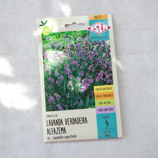 Sementes de Lavanda verdadeira ~ Lavandula angustifolia