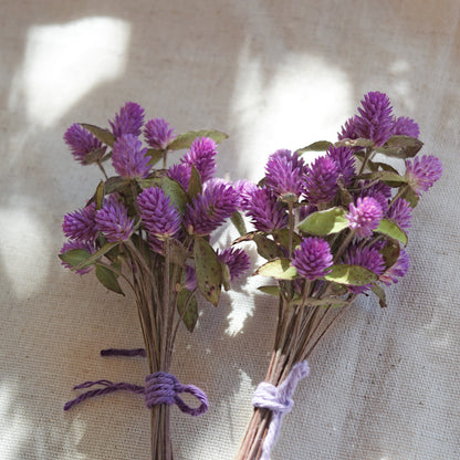 Ramalhete flores secas de gonfrena roxa com folhas ~ Gomphrena globosa