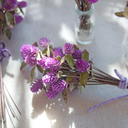 Ramalhete flores secas de gonfrena roxa com folhas ~ Gomphrena globosa