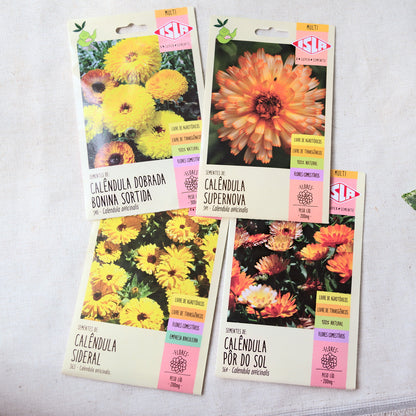 Kit 4 calêndulas comestíveis ~ Calendula officinalis