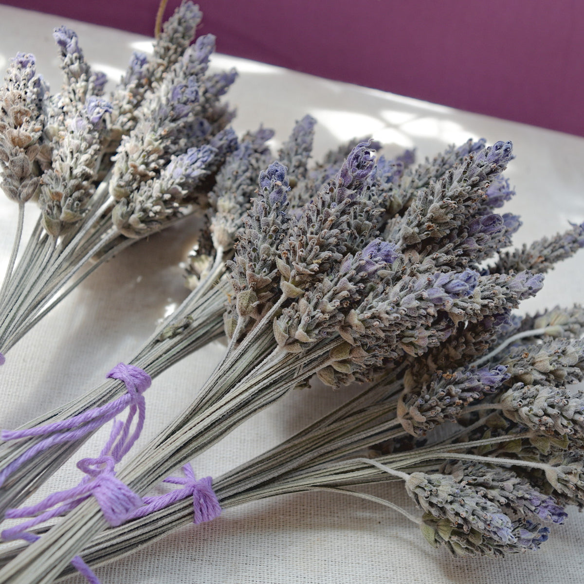 Flores secas de Lavanda Francesa {Ramalhete} ~ Lavandula dentata