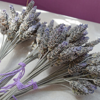 Flores secas de Lavanda Francesa {Ramalhete} ~ Lavandula dentata