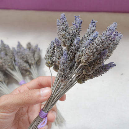 Flores secas de Lavanda Francesa {Ramalhete} ~ Lavandula dentata