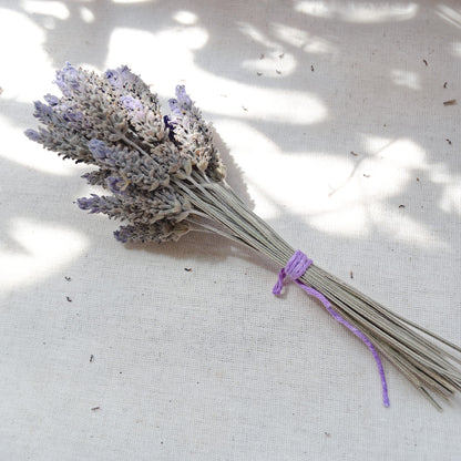 Flores secas de Lavanda Francesa {Ramalhete} ~ Lavandula dentata
