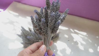Flores secas de Lavanda Francesa {Ramalhete} ~ Lavandula dentata